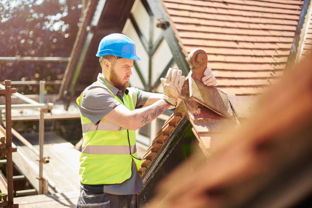 Best Roof Gutter Cleaning  in Sleepy Hollow, NY